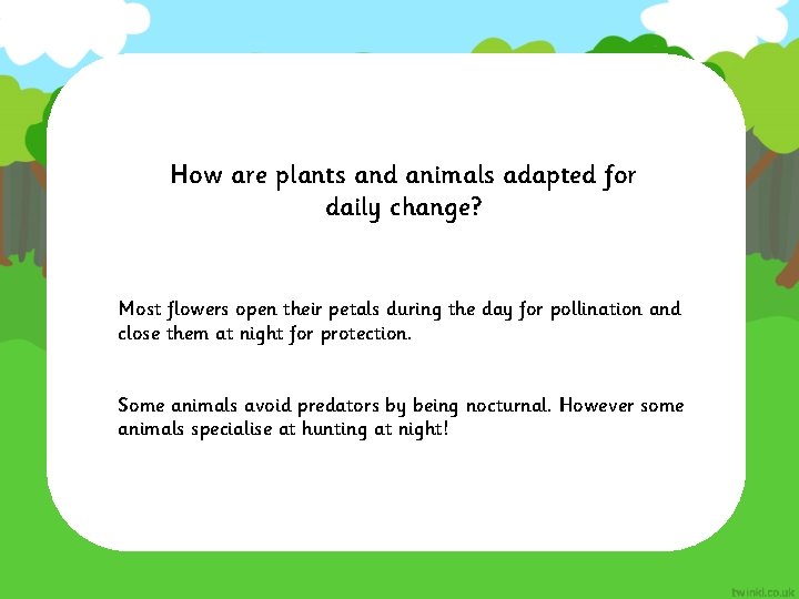 How are plants and animals adapted for daily change? Most flowers open their petals