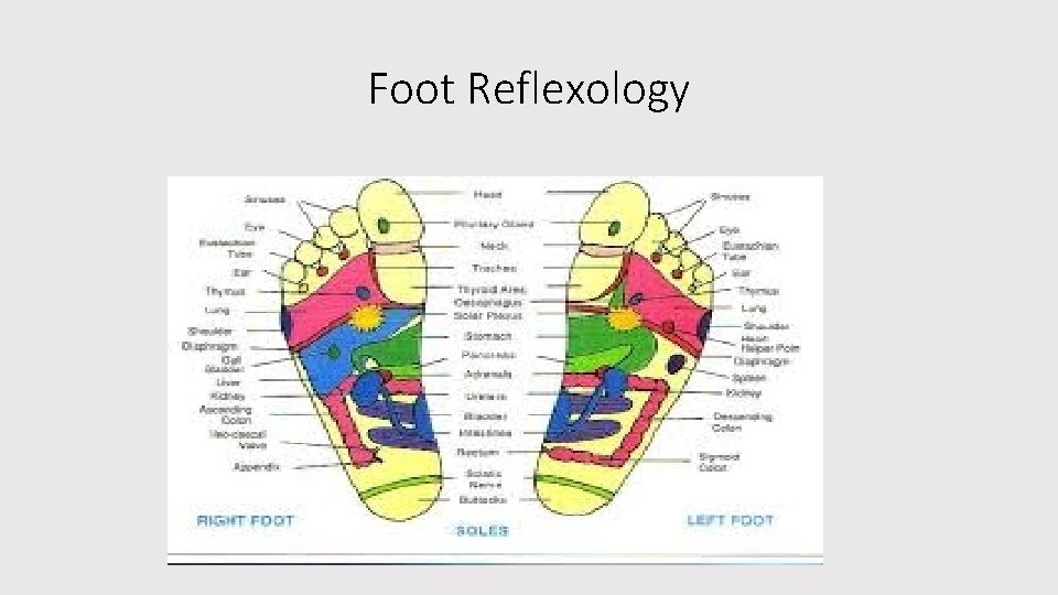 Foot Reflexology 