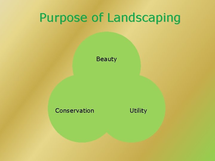 Purpose of Landscaping Beauty Conservation Utility 
