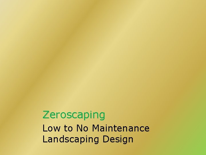 Zeroscaping Low to No Maintenance Landscaping Design 