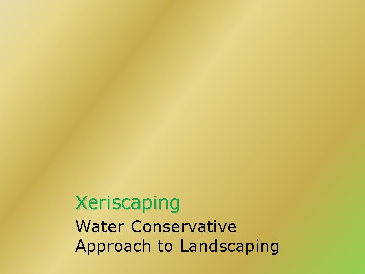 Xeriscaping Water –Conservative Approach to Landscaping 