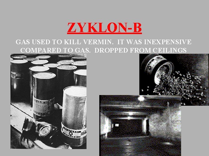 ZYKLON-B GAS USED TO KILL VERMIN. IT WAS INEXPENSIVE COMPARED TO GAS. DROPPED FROM