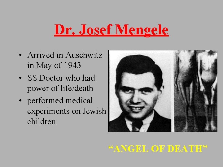 Dr. Josef Mengele • Arrived in Auschwitz in May of 1943 • SS Doctor