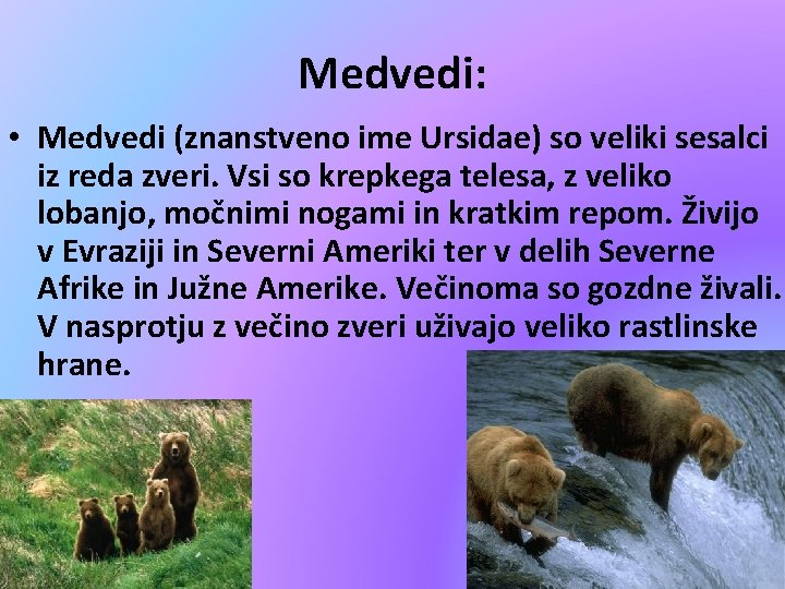 Medvedi: • Medvedi (znanstveno ime Ursidae) so veliki sesalci iz reda zveri. Vsi so