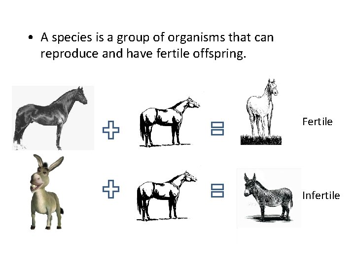  • A species is a group of organisms that can reproduce and have