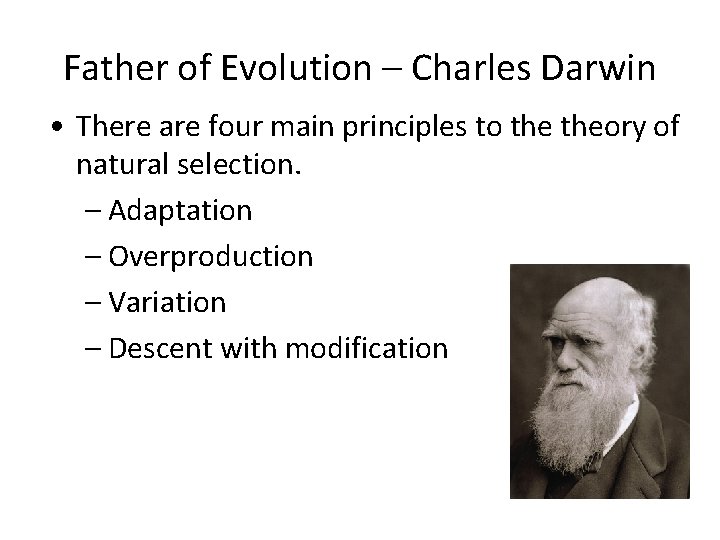 Father of Evolution – Charles Darwin • There are four main principles to theory