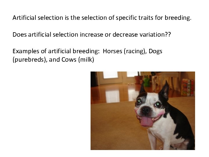 Artificial selection is the selection of specific traits for breeding. Does artificial selection increase