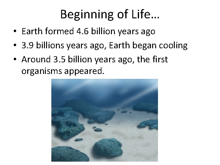 Beginning of Life… • Earth formed 4. 6 billion years ago • 3. 9