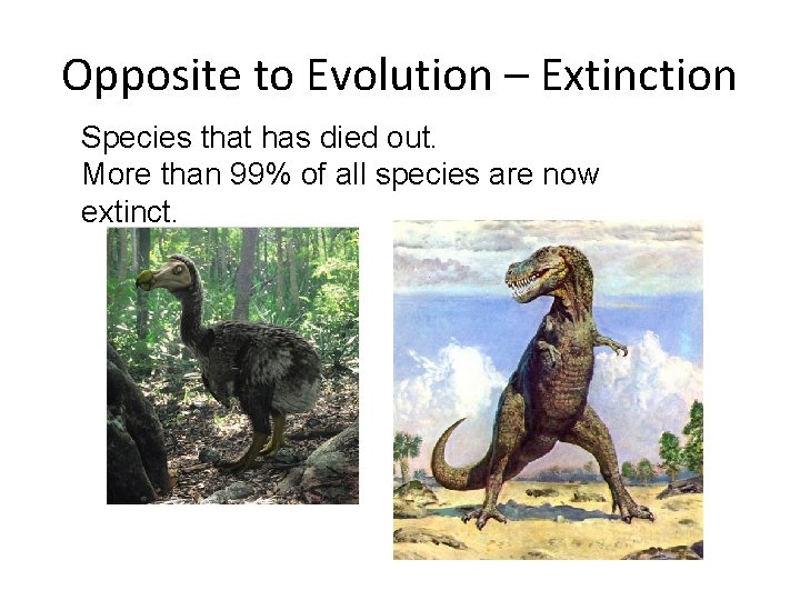 Opposite to Evolution – Extinction Species that has died out. More than 99% of