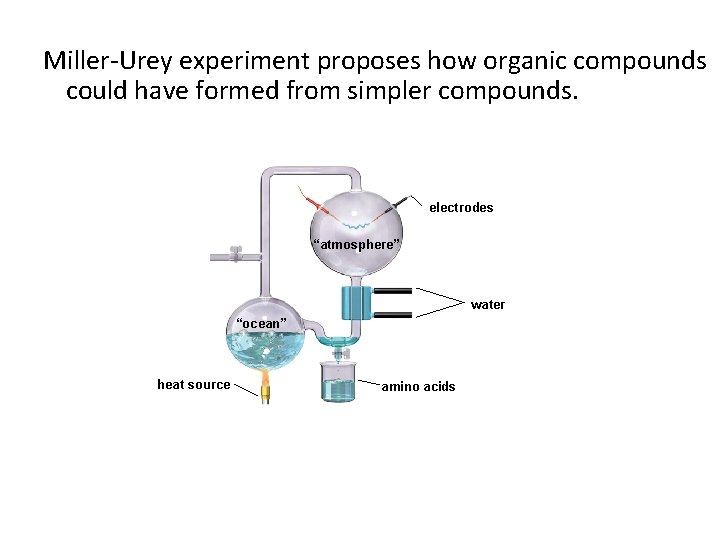 Miller-Urey experiment proposes how organic compounds could have formed from simpler compounds. electrodes “atmosphere”