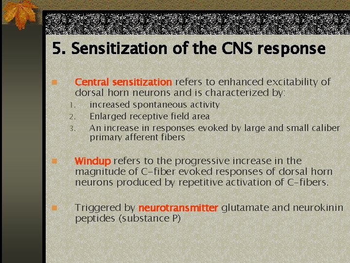 5. Sensitization of the CNS response n Central sensitization refers to enhanced excitability of