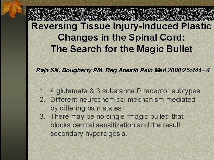 Reversing Tissue Injury-Induced Plastic Changes in the Spinal Cord: The Search for the Magic