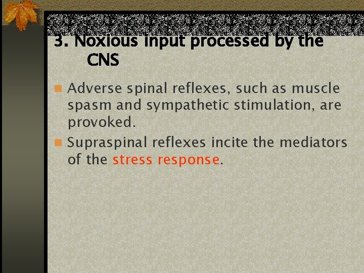 3. Noxious input processed by the CNS n Adverse spinal reflexes, such as muscle