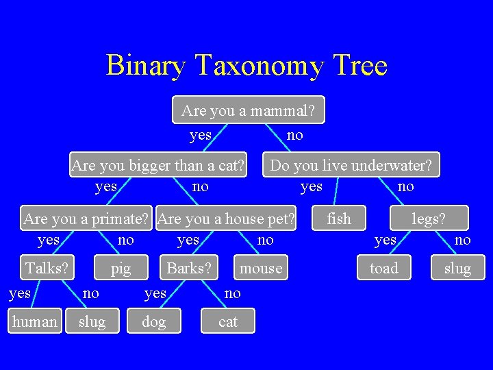 Binary Taxonomy Tree Are you a mammal? yes no Are you bigger than a