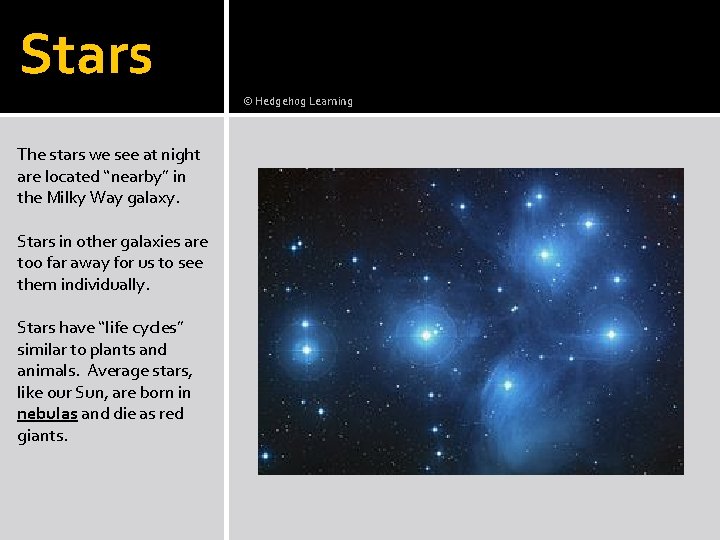 Stars © Hedgehog Learning The stars we see at night are located “nearby” in