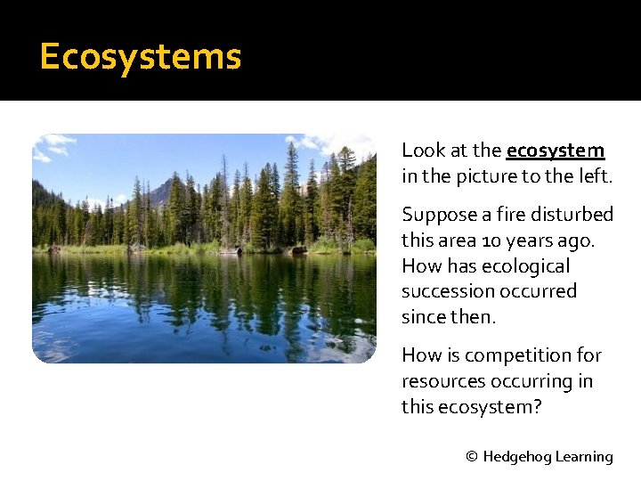 Ecosystems Look at the ecosystem in the picture to the left. Suppose a fire