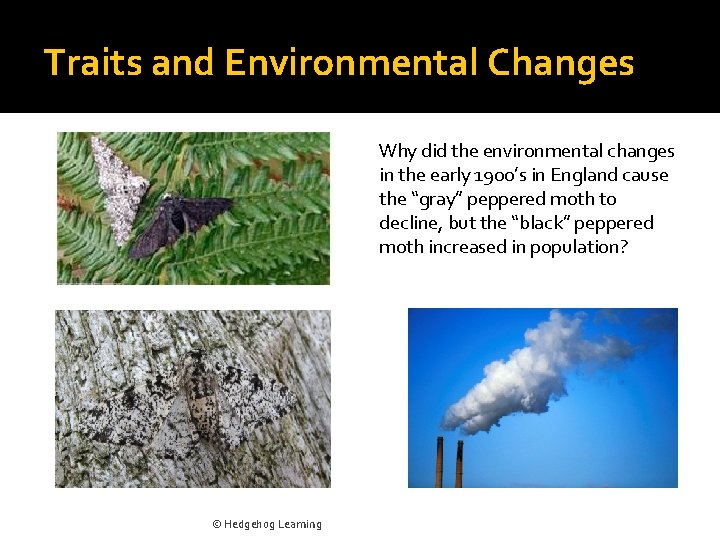 Traits and Environmental Changes Why did the environmental changes in the early 1900’s in