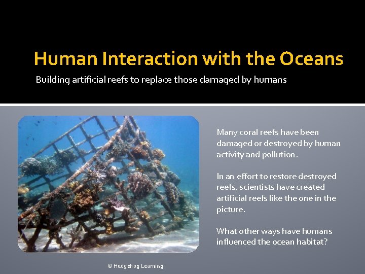 Human Interaction with the Oceans Building artificial reefs to replace those damaged by humans