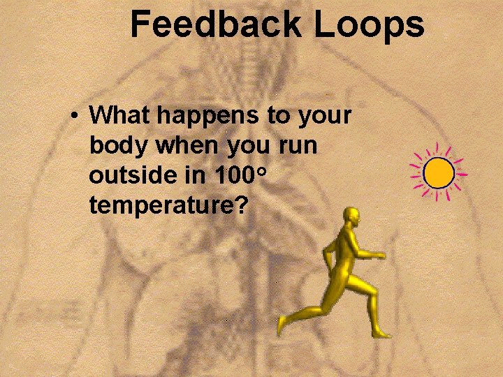Feedback Loops • What happens to your body when you run outside in 100