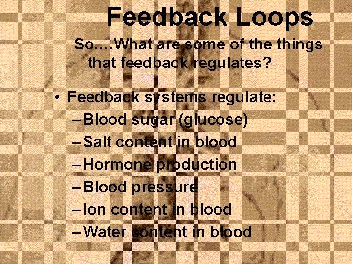 Feedback Loops So…. What are some of the things that feedback regulates? • Feedback