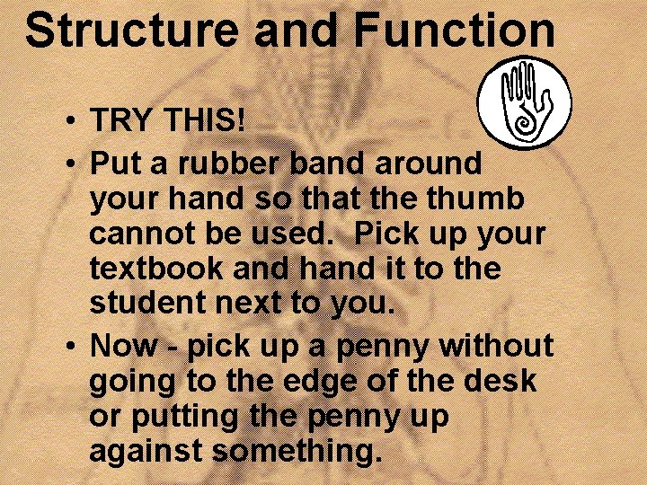 Structure and Function • TRY THIS! • Put a rubber band around your hand