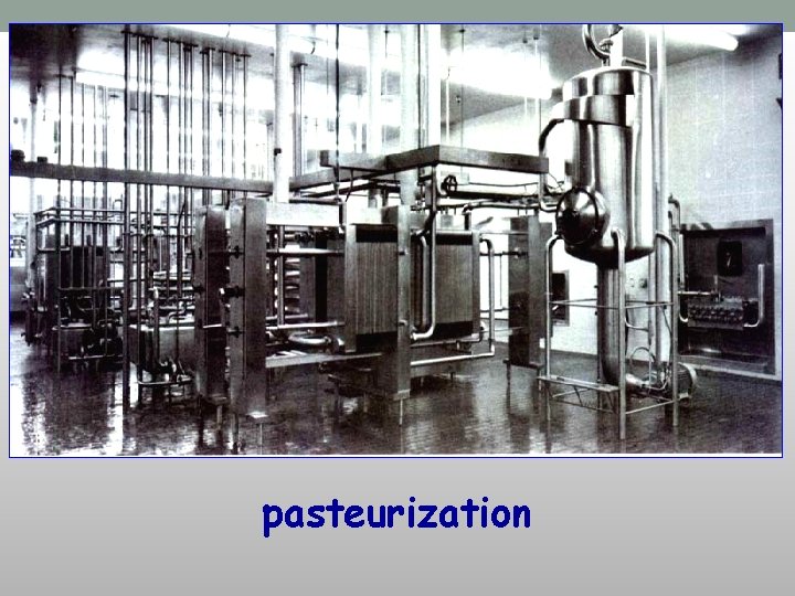 pasteurization 