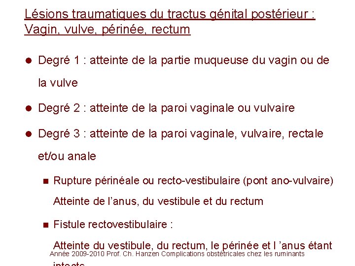 Lésions traumatiques du tractus génital postérieur : Vagin, vulve, périnée, rectum l Degré 1