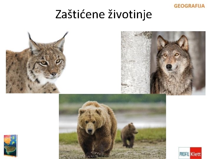 Zaštićene životinje 