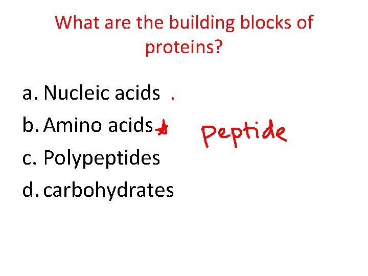What are the building blocks of proteins? a. Nucleic acids b. Amino acids c.