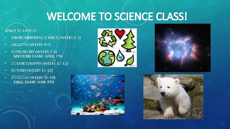 WELCOME TO SCIENCE CLASS! WHAT TO EXPECT: • ENVIRONMENTAL SCIENCE (WEEKS 1 -3) •