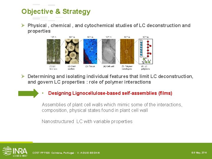 Objective & Strategy Ø Physical , chemical , and cytochemical studies of LC deconstruction