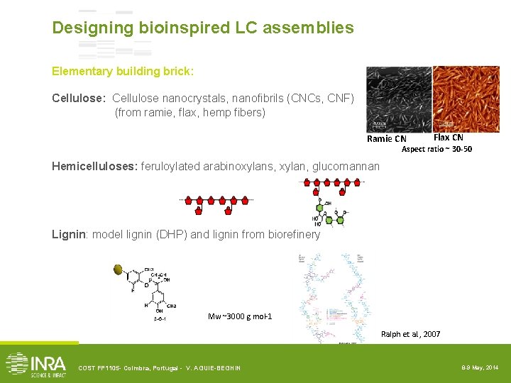 Designing bioinspired LC assemblies Elementary building brick: Cellulose nanocrystals, nanofibrils (CNCs, CNF) (from ramie,