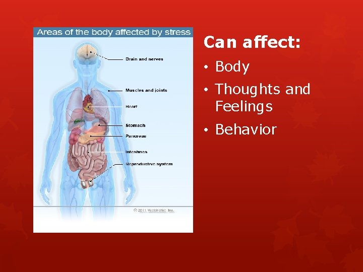 Can affect: • Body • Thoughts and Feelings • Behavior 