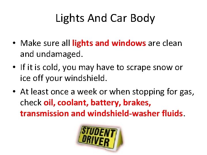 Lights And Car Body • Make sure all lights and windows are clean and