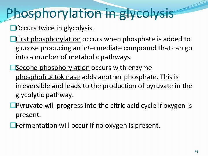 Phosphorylation in glycolysis �Occurs twice in glycolysis. �First phosphorylation occurs when phosphate is added