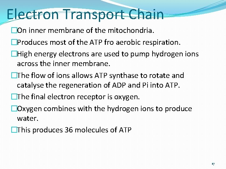 Electron Transport Chain �On inner membrane of the mitochondria. �Produces most of the ATP