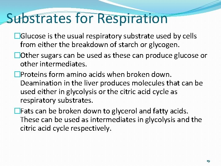 Substrates for Respiration �Glucose is the usual respiratory substrate used by cells from either