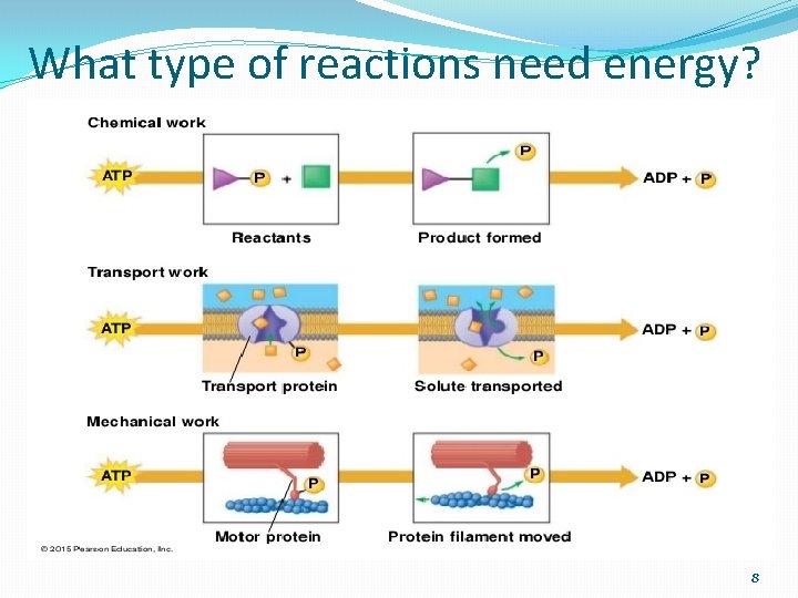 What type of reactions need energy? 8 