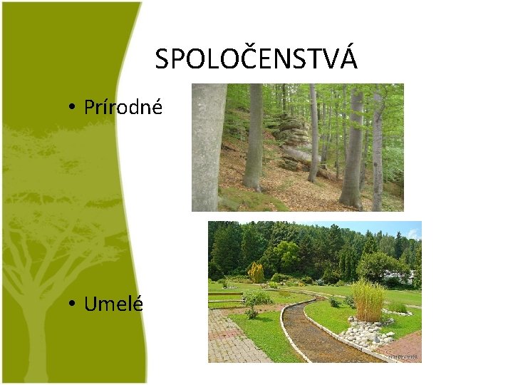 SPOLOČENSTVÁ • Prírodné • Umelé 