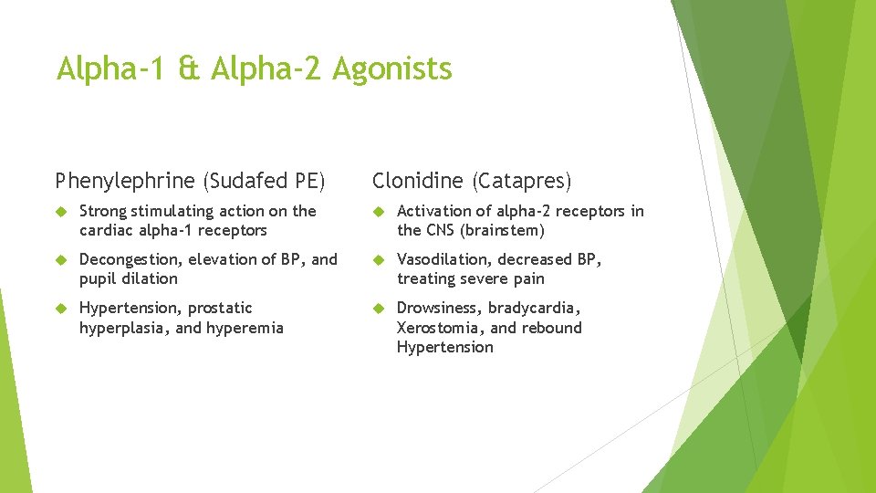 Alpha-1 & Alpha-2 Agonists Phenylephrine (Sudafed PE) Clonidine (Catapres) Strong stimulating action on the