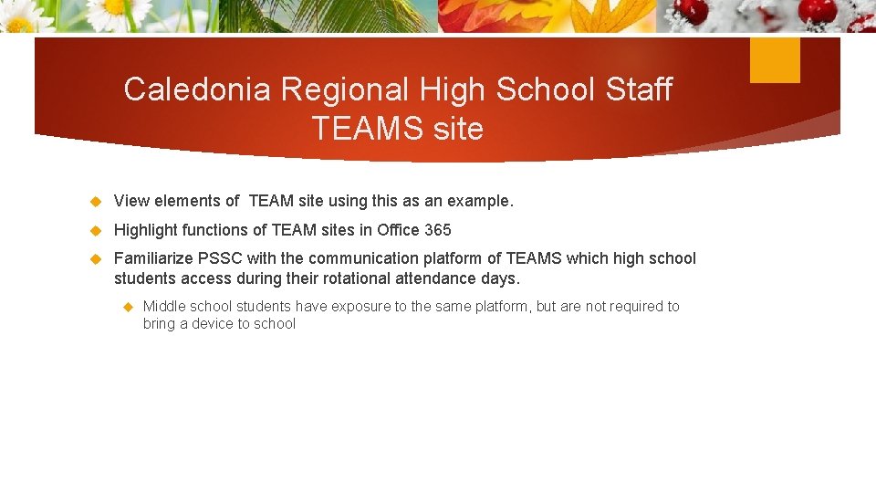 Caledonia Regional High School Staff TEAMS site View elements of TEAM site using this