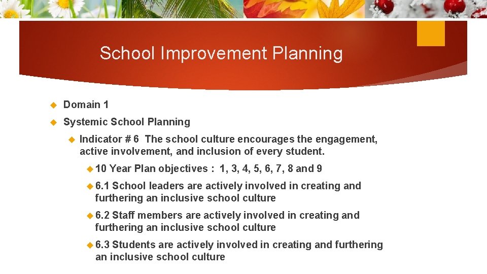 School Improvement Planning Domain 1 Systemic School Planning Indicator # 6 The school culture