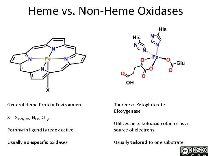 Heme vs. Non-Heme Oxidases General Heme Protein Environment X = SMet/Cys, NHis, OTyr Taurine