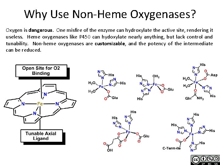 Why Use Non-Heme Oxygenases? Oxygen is dangerous. One misfire of the enzyme can hydroxylate