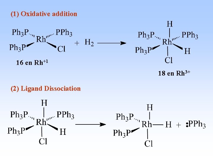 (1) Oxidative addition 16 en Rh+1 18 en Rh 3+ (2) Ligand Dissociation 