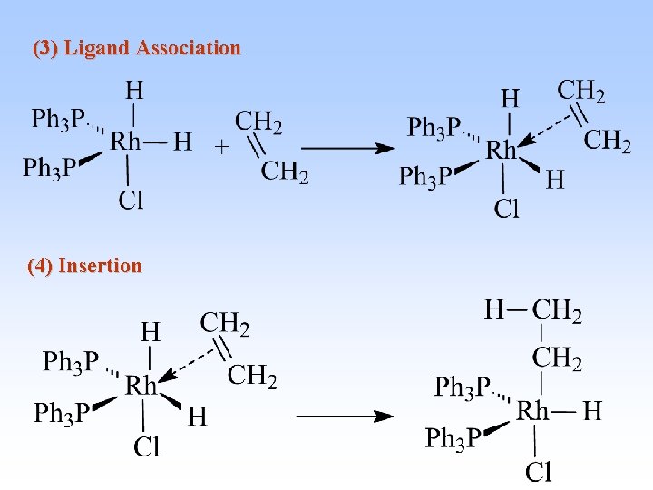 (3) Ligand Association (4) Insertion 