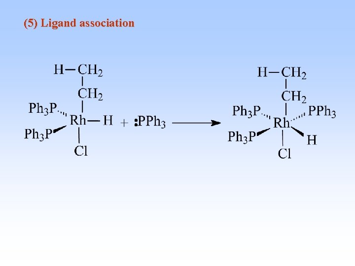 (5) Ligand association 