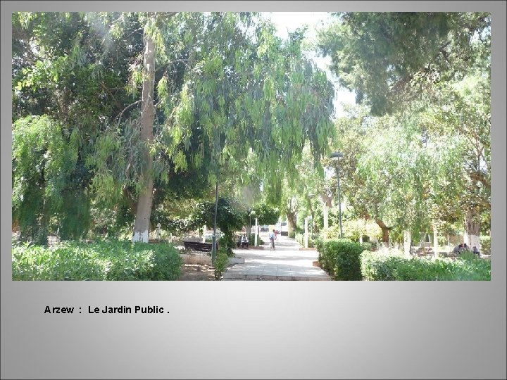 Arzew : Le Jardin Public. 