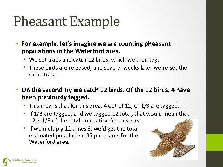 Pheasant Example • For example, let’s imagine we are counting pheasant populations in the