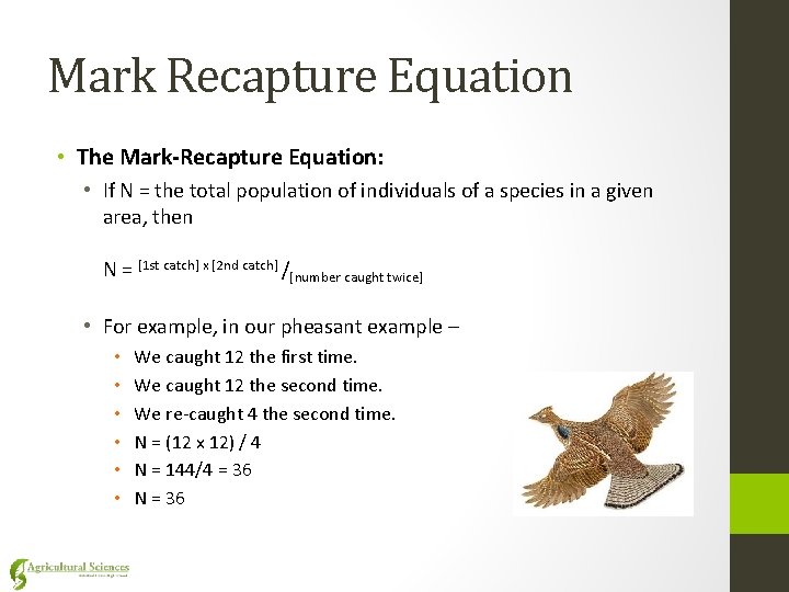 Mark Recapture Equation • The Mark-Recapture Equation: • If N = the total population